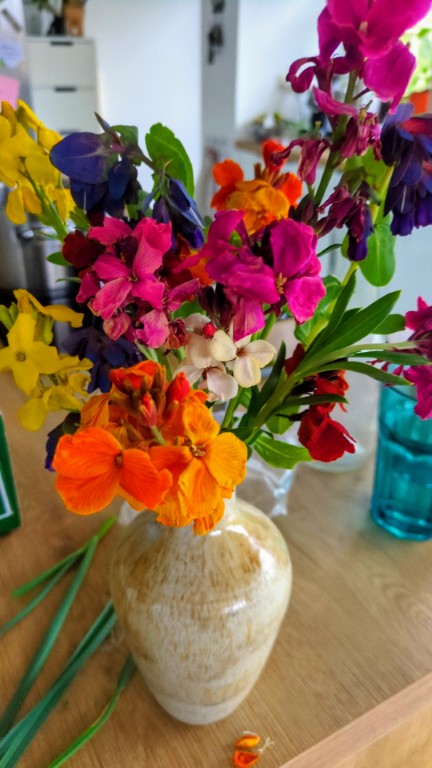 muurbloemen in vaasje muurbloemen in vaasje